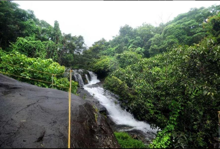 קאלפטה Mahout Resort Wayanad - An Experiential Jungle Stay With Waterfall מראה חיצוני תמונה