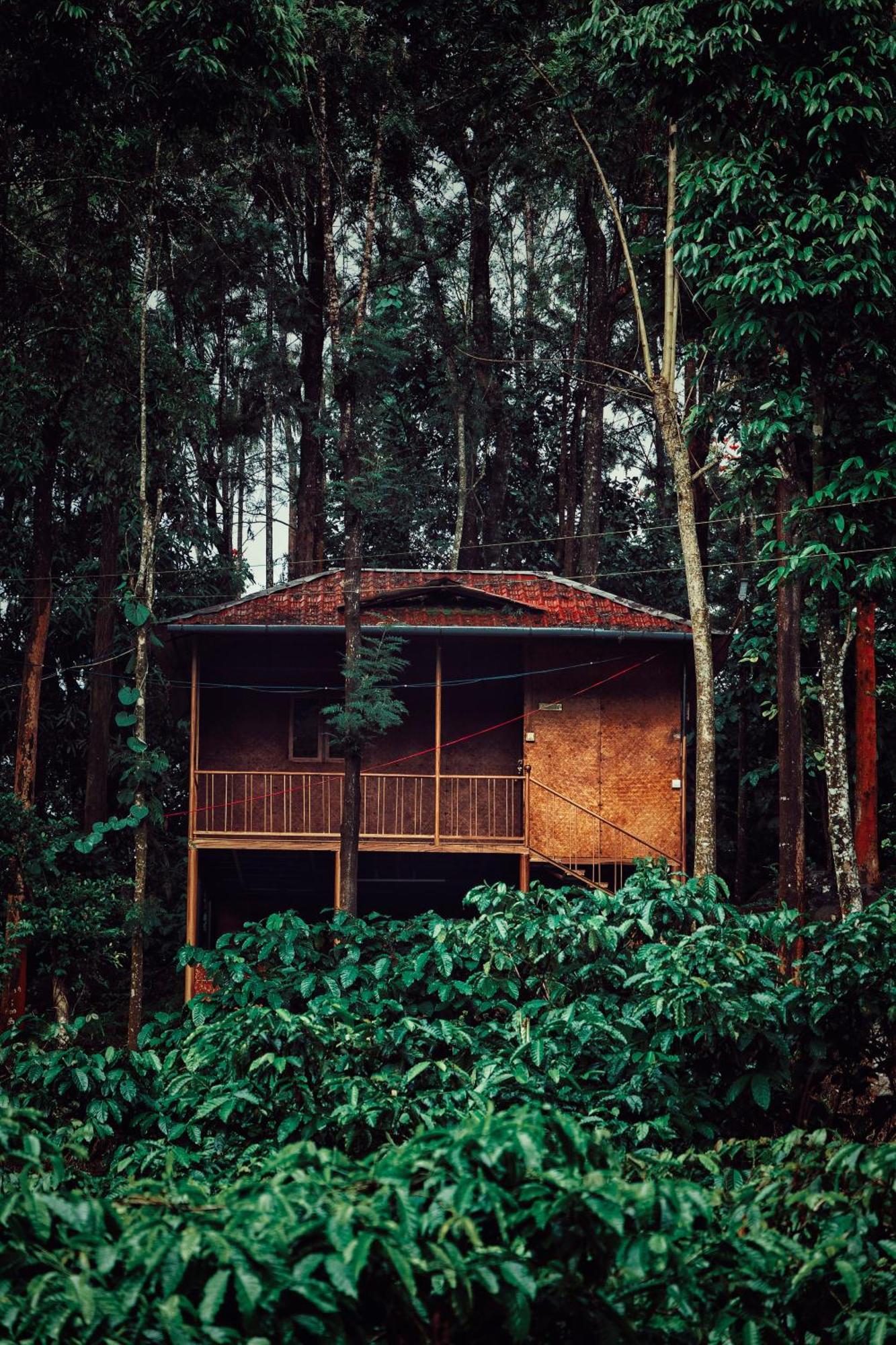 קאלפטה Mahout Resort Wayanad - An Experiential Jungle Stay With Waterfall מראה חיצוני תמונה