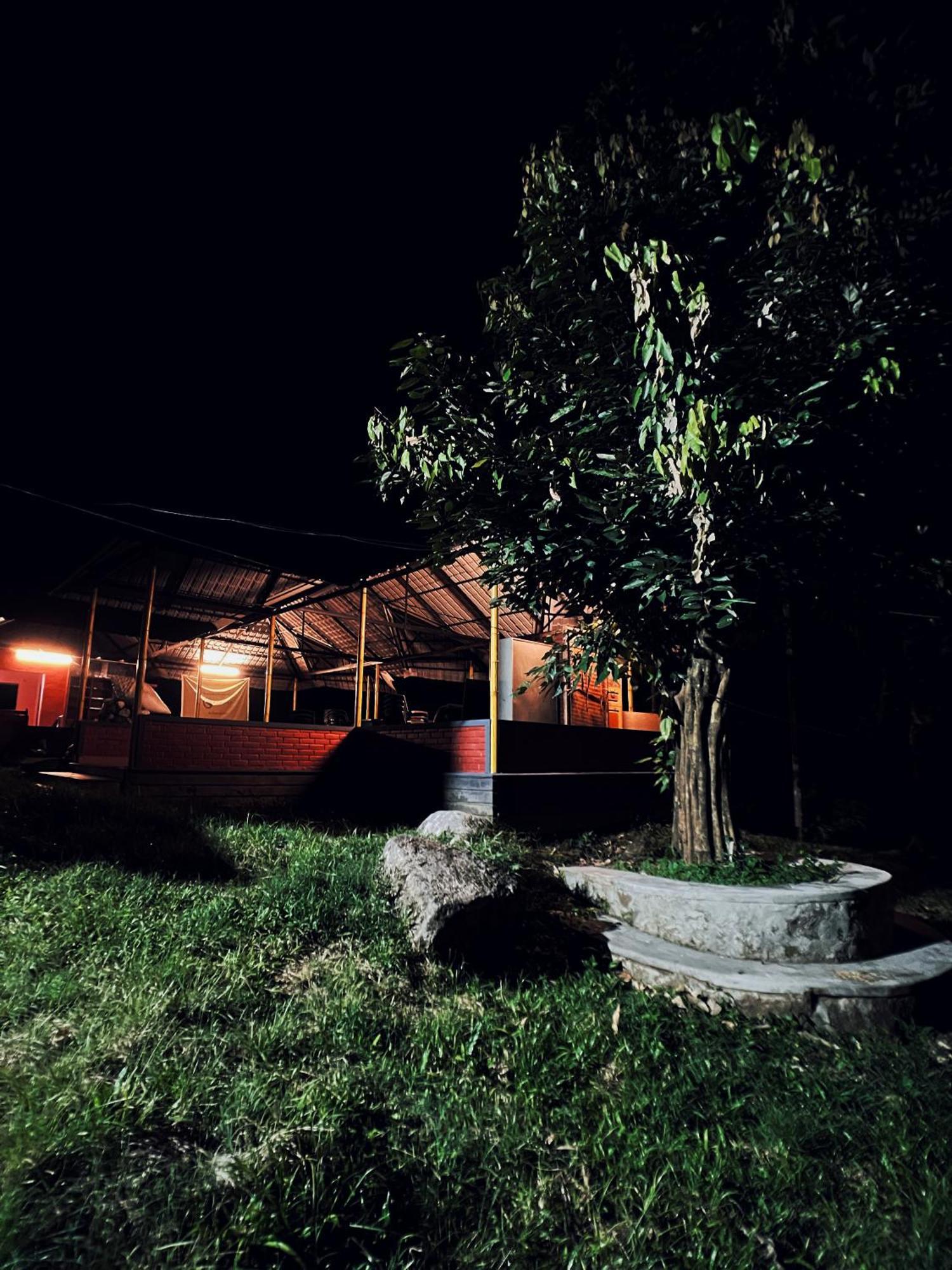 קאלפטה Mahout Resort Wayanad - An Experiential Jungle Stay With Waterfall מראה חיצוני תמונה