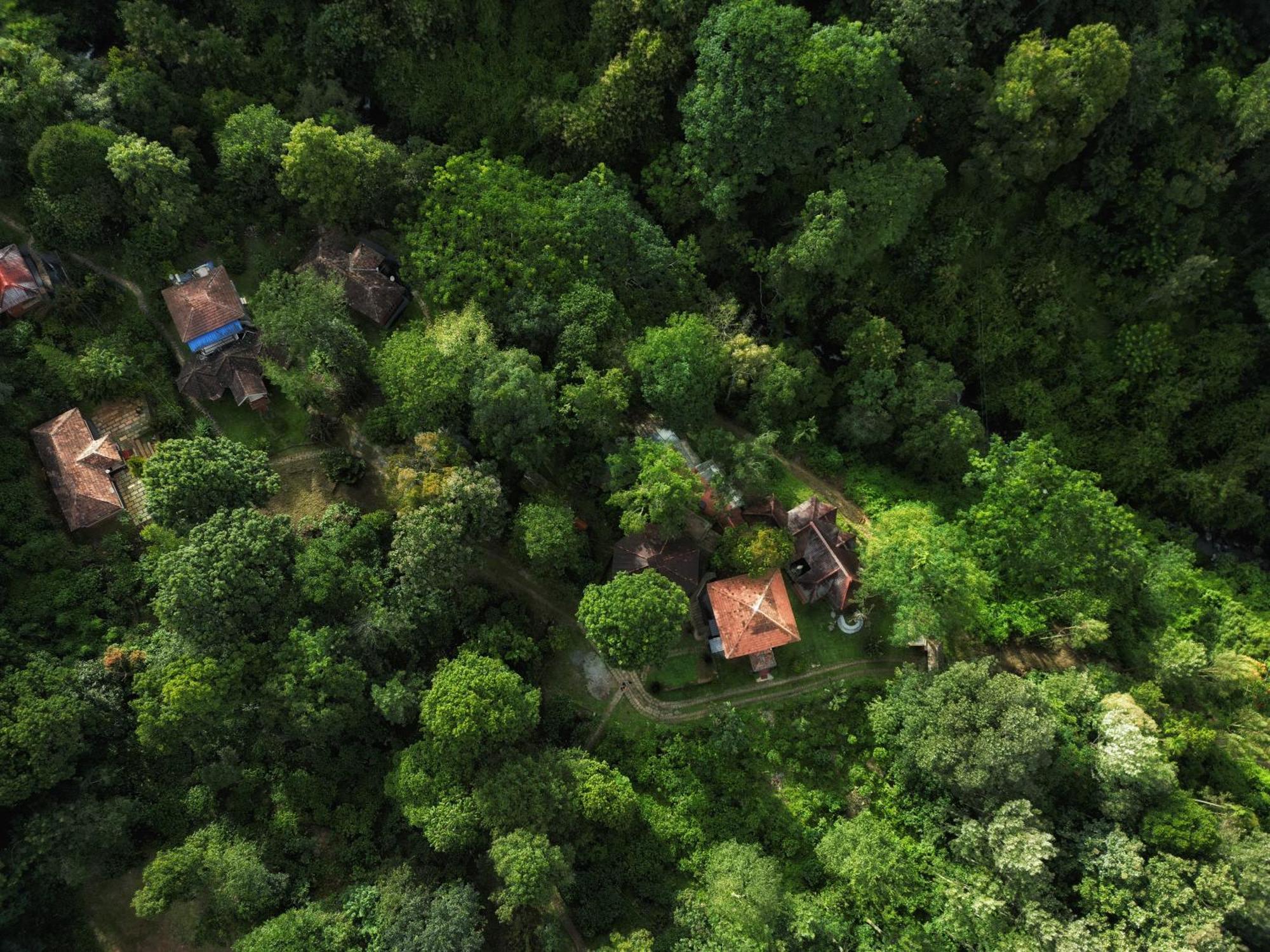 קאלפטה Mahout Resort Wayanad - An Experiential Jungle Stay With Waterfall מראה חיצוני תמונה