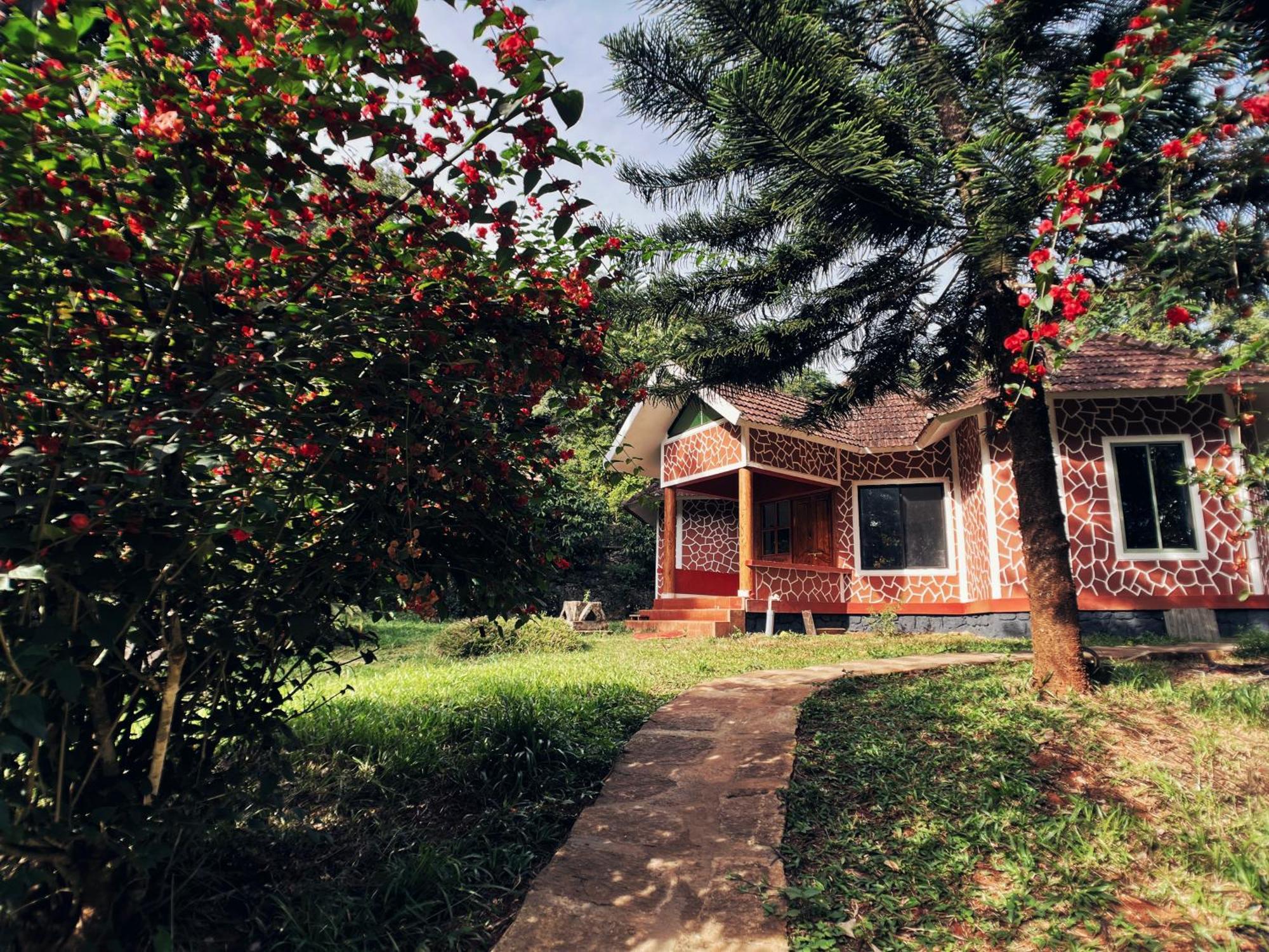 קאלפטה Mahout Resort Wayanad - An Experiential Jungle Stay With Waterfall מראה חיצוני תמונה