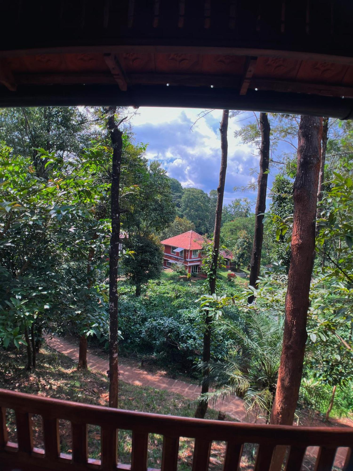 קאלפטה Mahout Resort Wayanad - An Experiential Jungle Stay With Waterfall מראה חיצוני תמונה