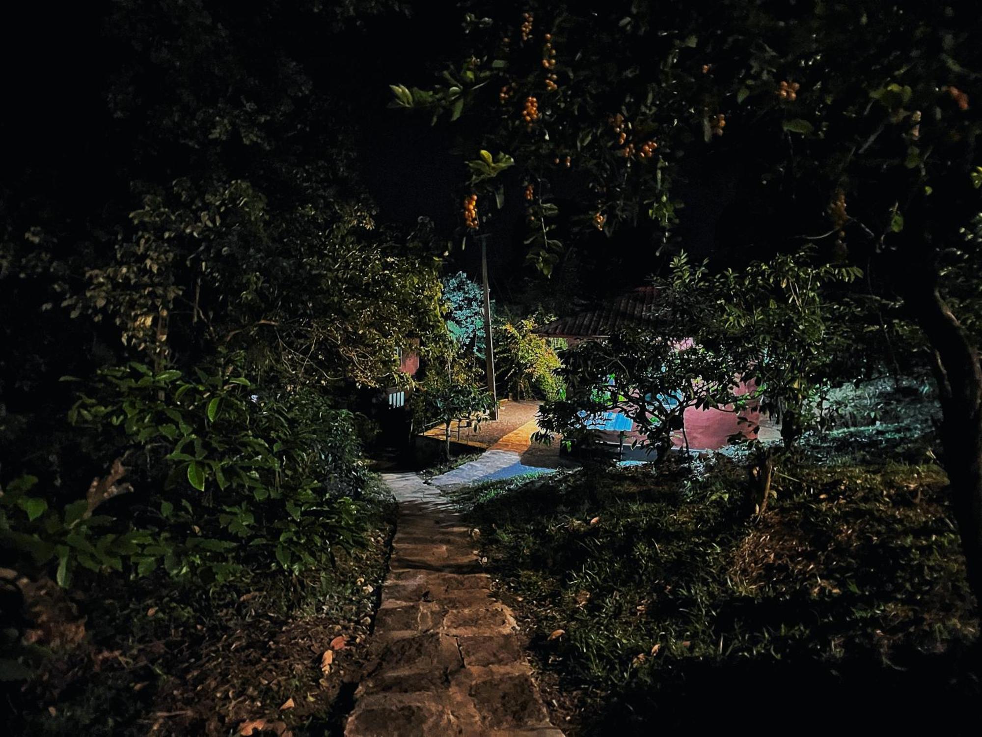 קאלפטה Mahout Resort Wayanad - An Experiential Jungle Stay With Waterfall מראה חיצוני תמונה
