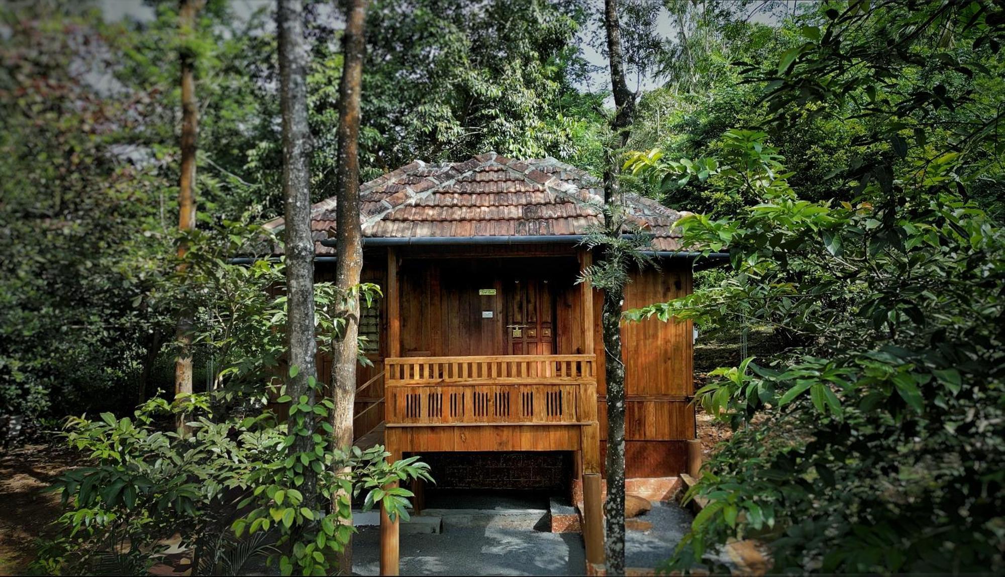 קאלפטה Mahout Resort Wayanad - An Experiential Jungle Stay With Waterfall מראה חיצוני תמונה